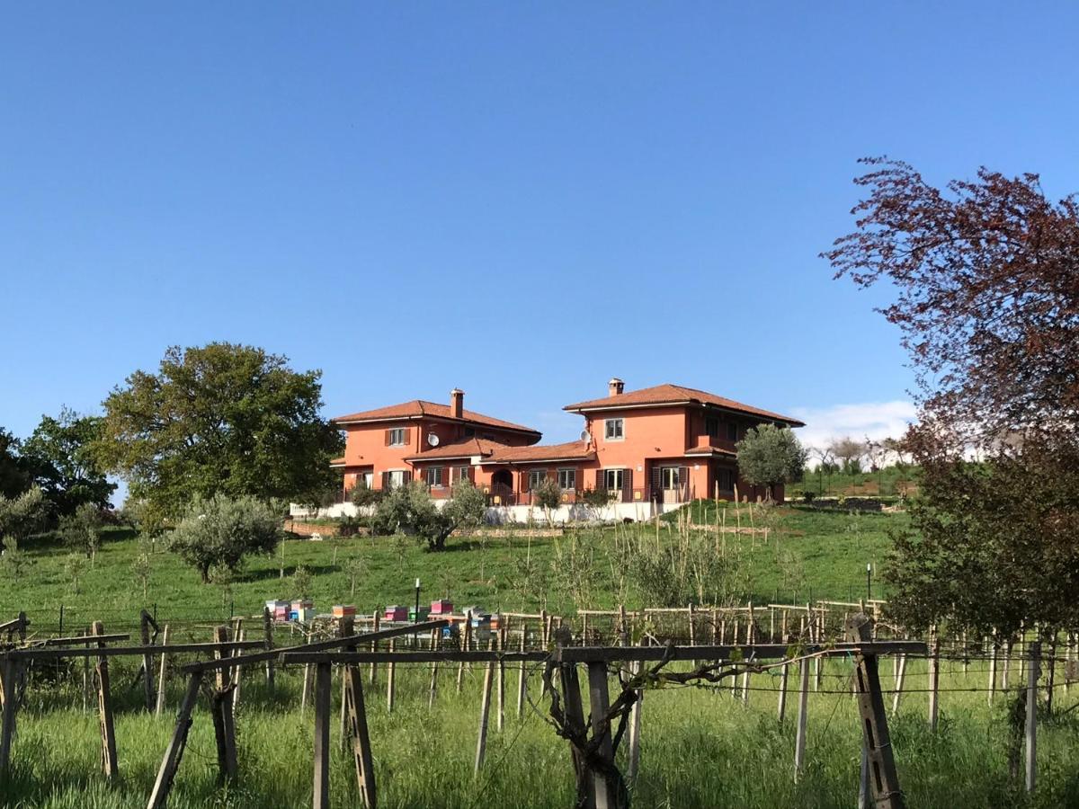 Bee Bed & Breakfast Frascati