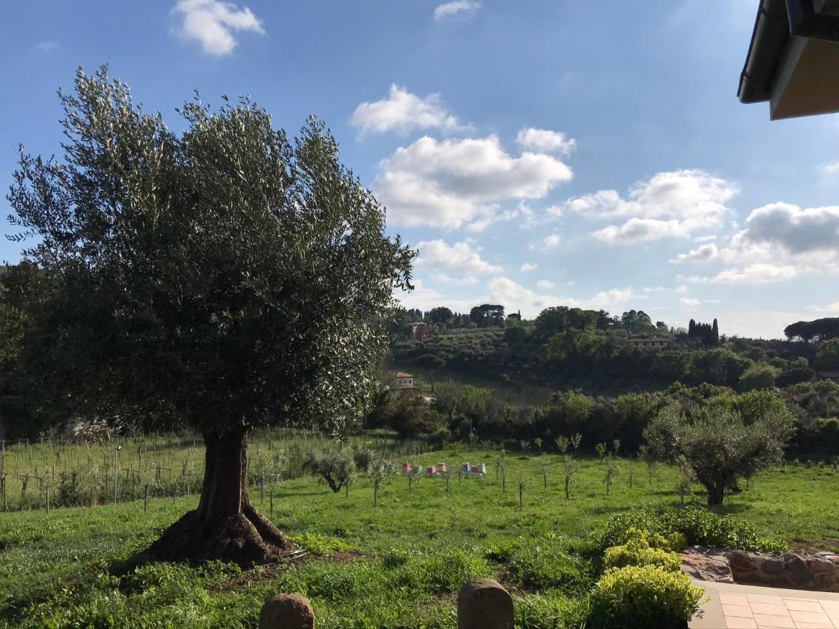 Bee Frascati