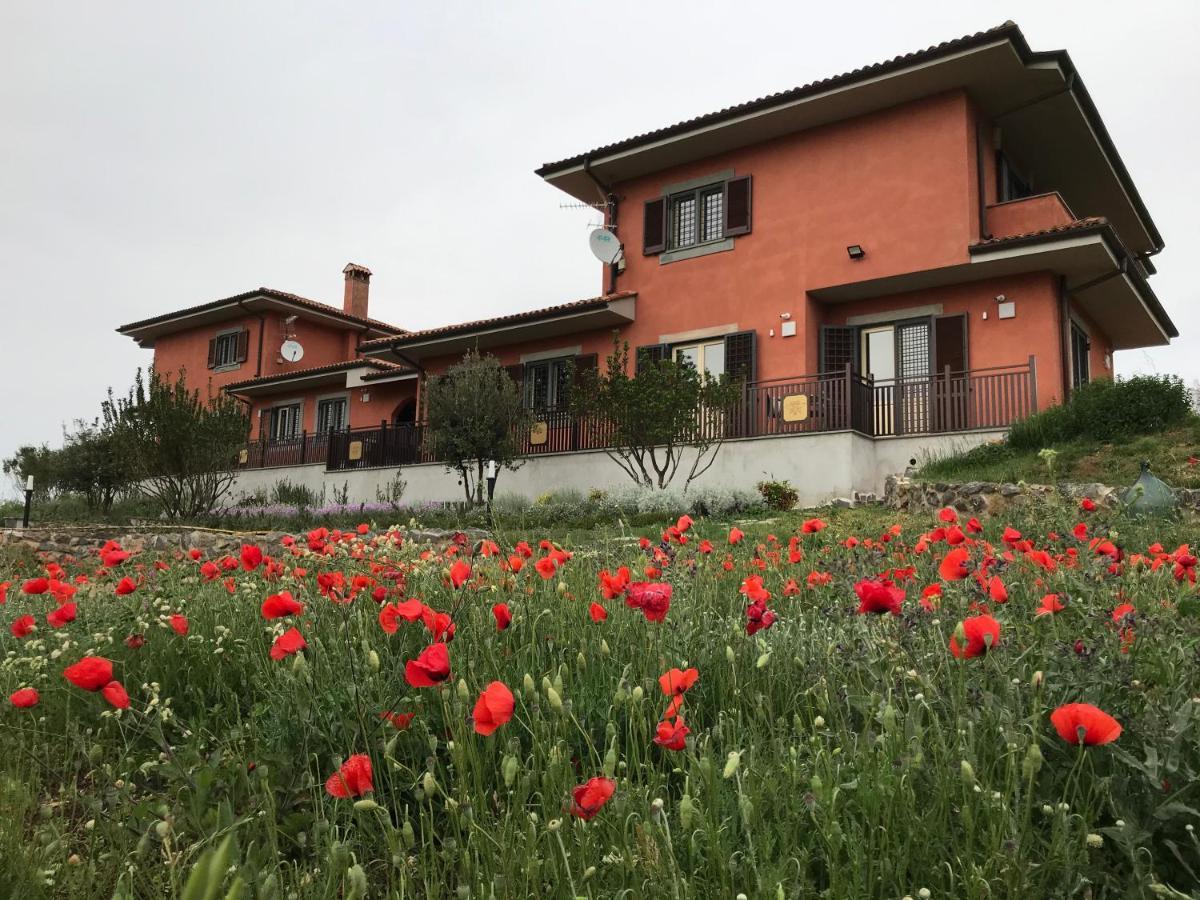 Bee * Frascati