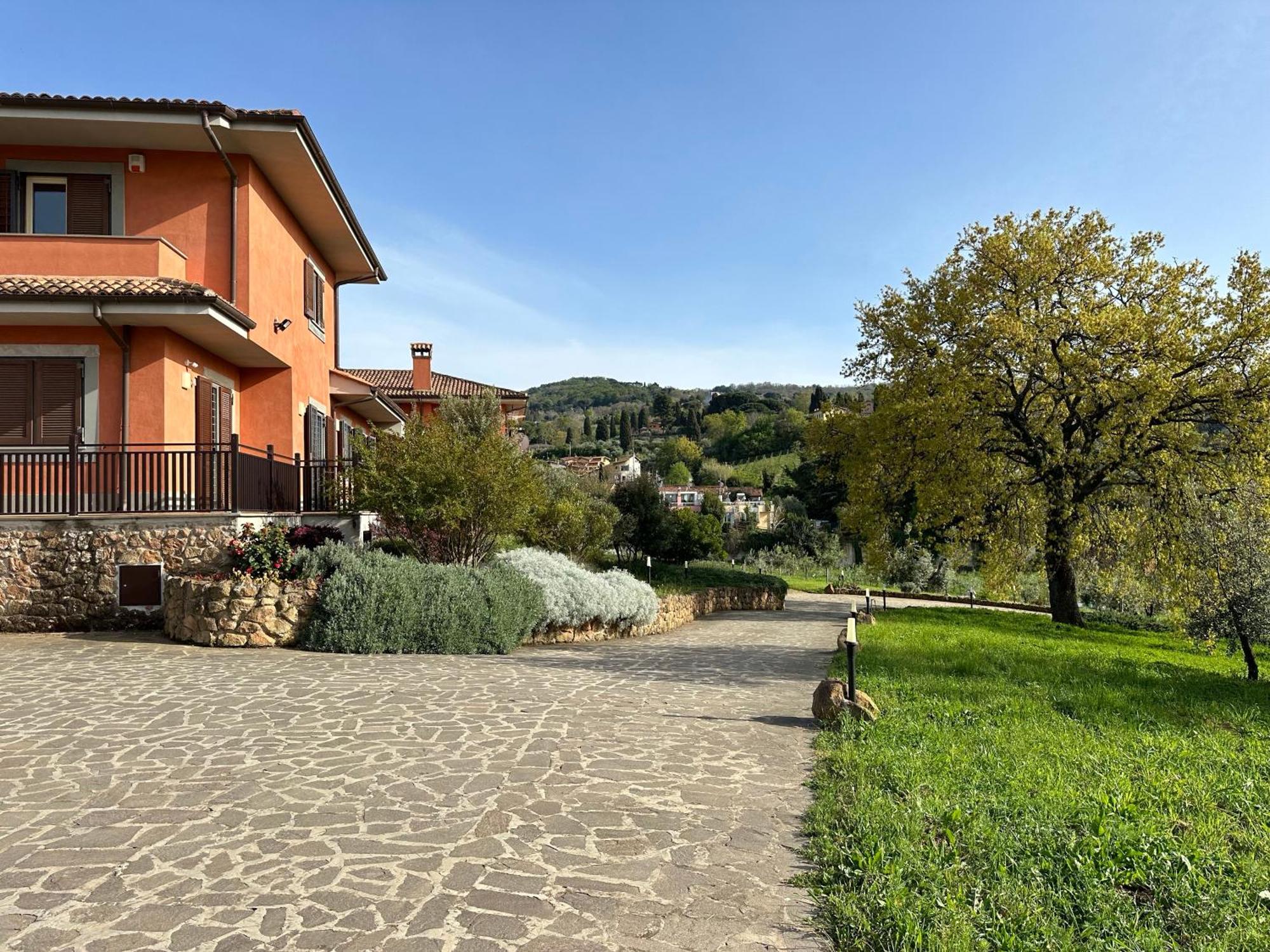 Bee Frascati